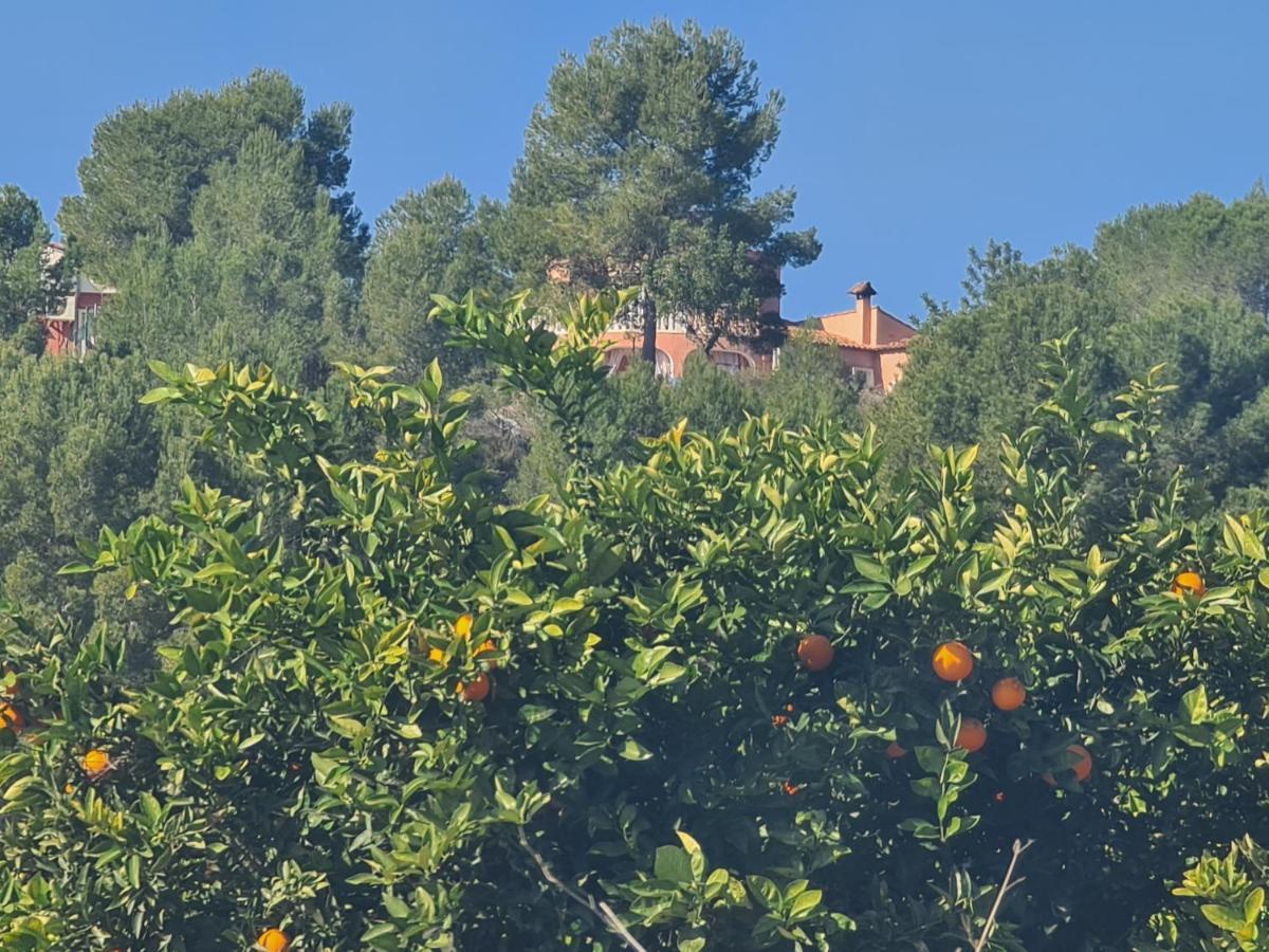 Chateau Angelique Βίλα Montroy Εξωτερικό φωτογραφία